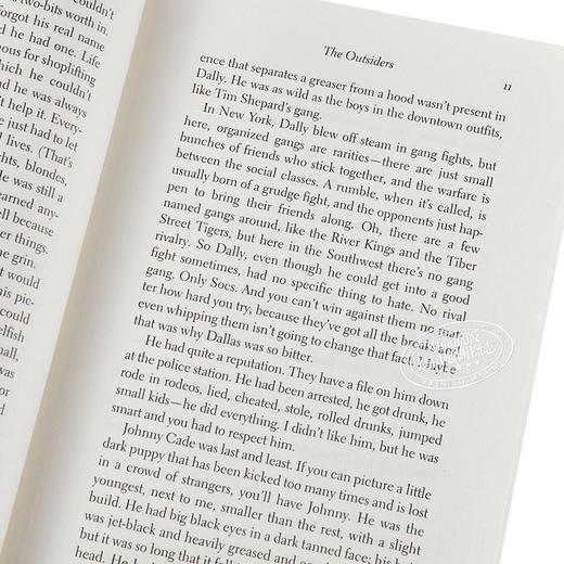 预售 【中商原版】青少年经典读物 局外人 小王子 Teen Classics The Outsider The Little Prince 英文原版 Saint Exupery 商品图3