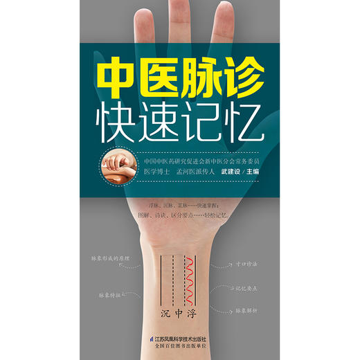 【心如健推荐】中医脉诊快速记忆（汉竹） 商品图4