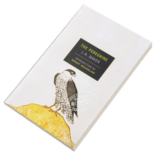【中商原版】游隼 豆瓣阅读 英文原版 The Peregrine J. A. Baker 商品图2