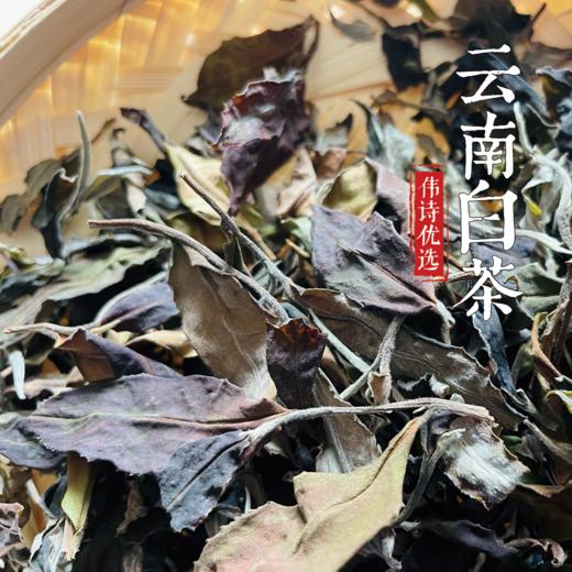 伟诗优选 | 云南白茶 商品图0