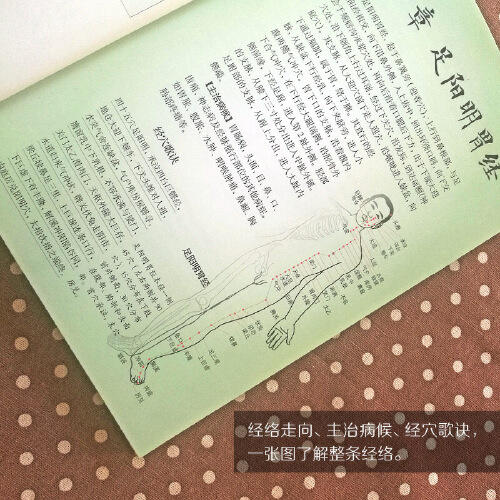 【心如健推荐】超简单取穴不出错（快速精准取穴是开展穴位治疗的前提。看图就能找准穴，超简单，不出错!） 商品图4