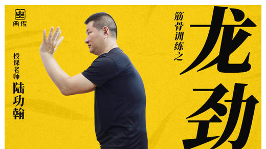 【龙劲训练】教程 商品图0