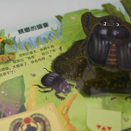 STEAM探索 法布尔昆虫记互动立体书 蜣螂 3-6岁儿童科普启蒙书 幼儿启蒙绘本 3D互动探索 纸上昆虫博物课 商品图1