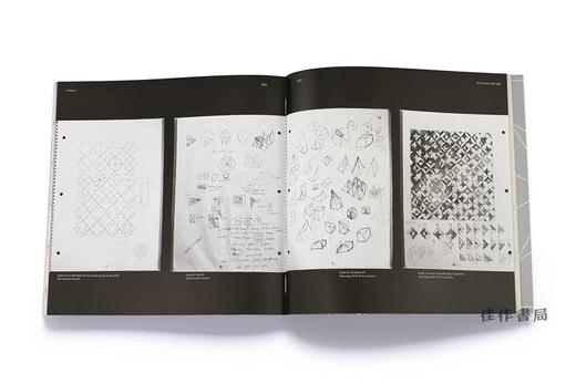 Unfolding/展开：马修·希利安的纸艺与科学 纸塑 商品图4