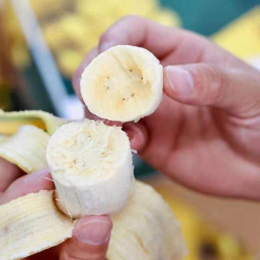 五指山野生芭蕉4.5斤 商品图5