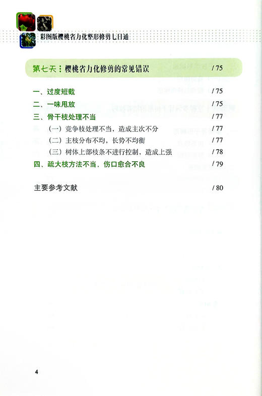 彩图版樱桃省力化整形修剪七日通【中国农业出版社】 商品图5