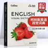 Collins柯林斯英语视觉词典 英文原版 Collins English Visual Dictionary 英语字典 英文版工具书 进口原版英语书籍 商品缩略图0