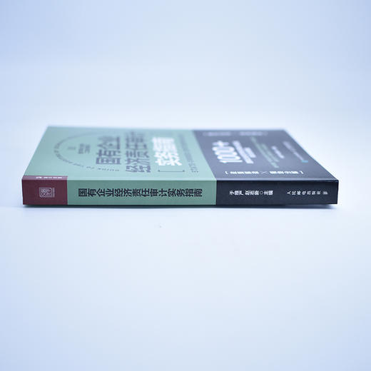 国有企业经济责任审计实务指南 国企审计工具书财务报告审计报告会计财务报表普华审计实务工具书系列 商品图2