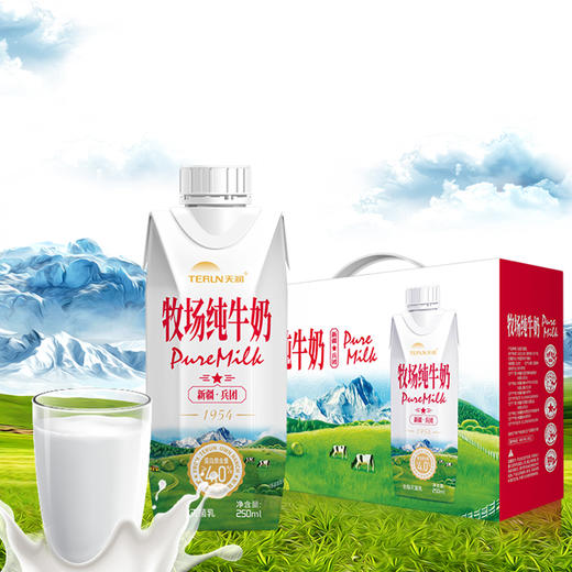 蛋白质高达4.0，新疆天润兵团牧场纯牛奶 250ml*10瓶 商品图1