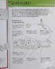 【中商原版】生物学 Barrons Visual Learning Biology  Helen Pilcher 商品缩略图4