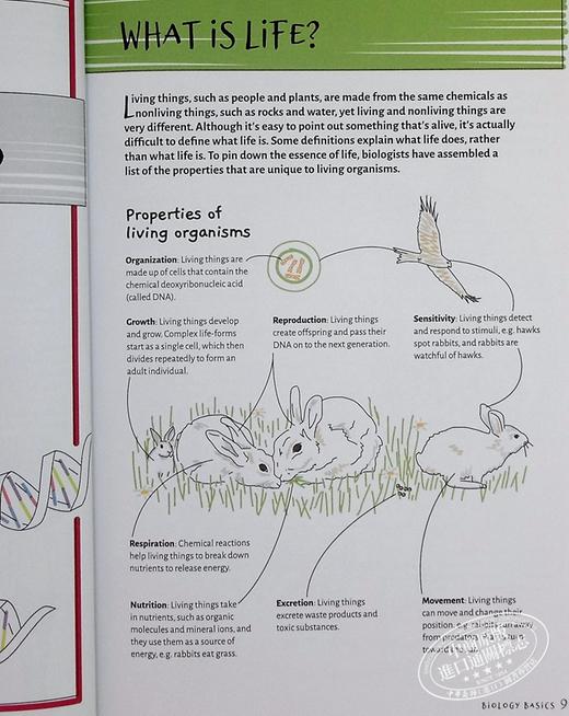 【中商原版】生物学 Barrons Visual Learning Biology  Helen Pilcher 商品图4