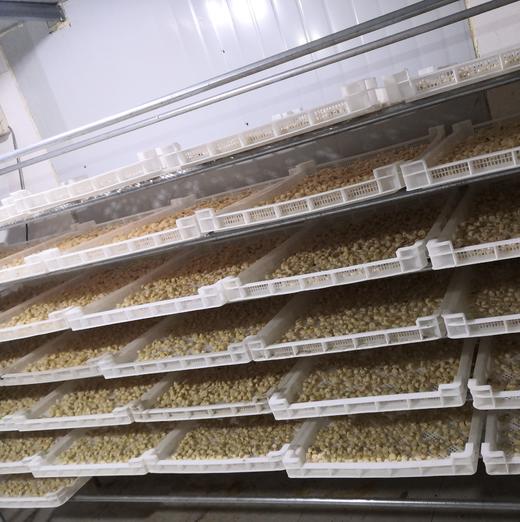 野生淡干虾皮 无盐 无防腐剂 无漂白剂 补钙补锌 |百里食 商品图5