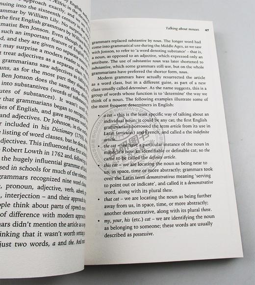 理解 英语语法的故事 英文原版 Making Sense The Glamorous Story of English Grammar 语言学习 英文版 进口原版英语书籍 商品图1