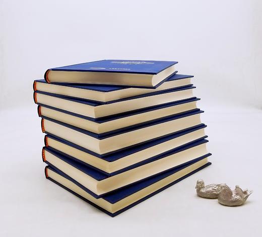 《新编剑桥印度史》8种，精装，云南人民出版社，总定价462元，售价398 商品图3