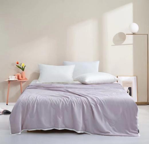 太湖雪蚕丝被凉小荷凉感夏被 商品图0