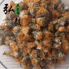 六不用 蒲公英干花 蒲公英花30克/份【弘毅六不用生态农场】 商品缩略图0