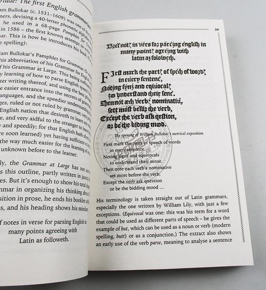 理解 英语语法的故事 英文原版 Making Sense The Glamorous Story of English Grammar 语言学习 英文版 进口原版英语书籍 商品图2