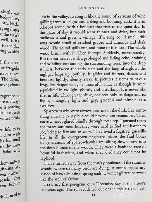 【中商原版】游隼 豆瓣阅读 英文原版 The Peregrine J. A. Baker 商品图5