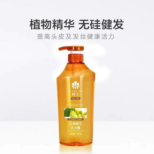 日化  蜂花洗发露(石榴滋养/生姜健发/芦荟水润)750ml. 商品图1