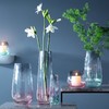 英国进口LSA玻璃春风/水绿系列轻奢水晶玻璃花瓶 商品缩略图4