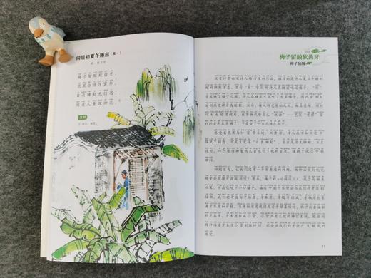 诗词中的科学（全6册）赠 千里诗意图和常见古诗词 6大学科64首诗词名篇64个重点知识 彩图注音版 商品图14