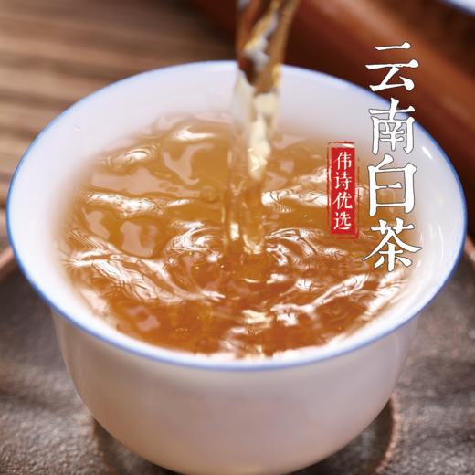 伟诗优选 | 云南白茶 商品图5