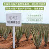 寻荟记 精粹芦荟原胶200g 商品缩略图9