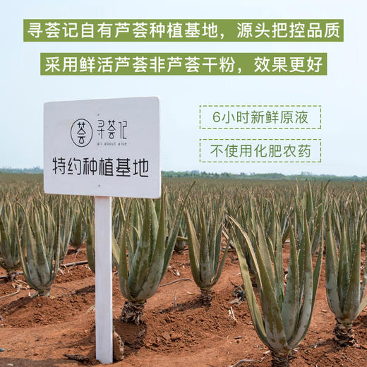 寻荟记 精粹芦荟原胶200g 商品图9