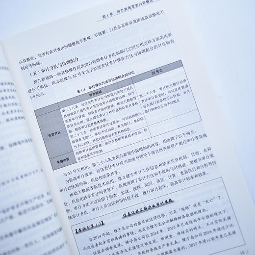 国有企业经济责任审计实务指南 国企审计工具书财务报告审计报告会计财务报表普华审计实务工具书系列 商品图4
