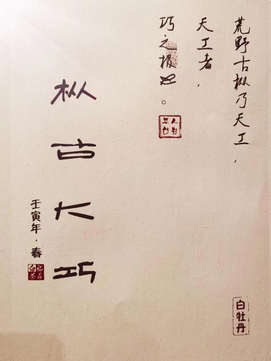 2022年春福鼎白茶荒野老枞典藏级牡丹王散茶 荒野小白日晒枞古大巧500g