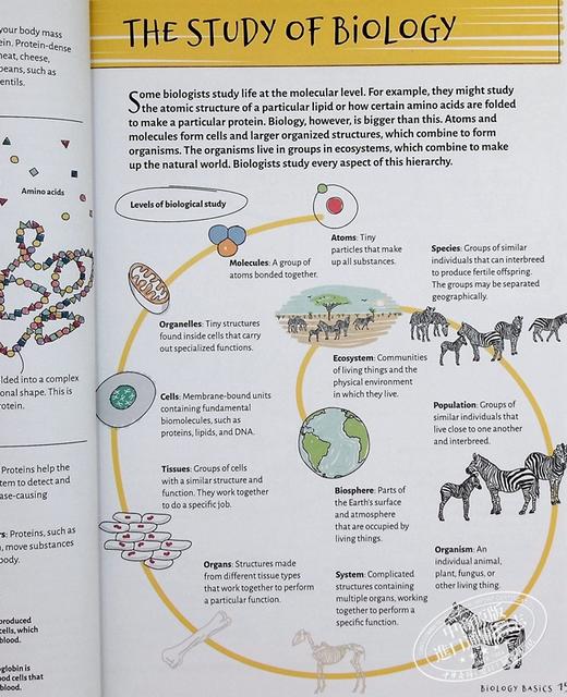 【中商原版】生物学 Barrons Visual Learning Biology  Helen Pilcher 商品图7