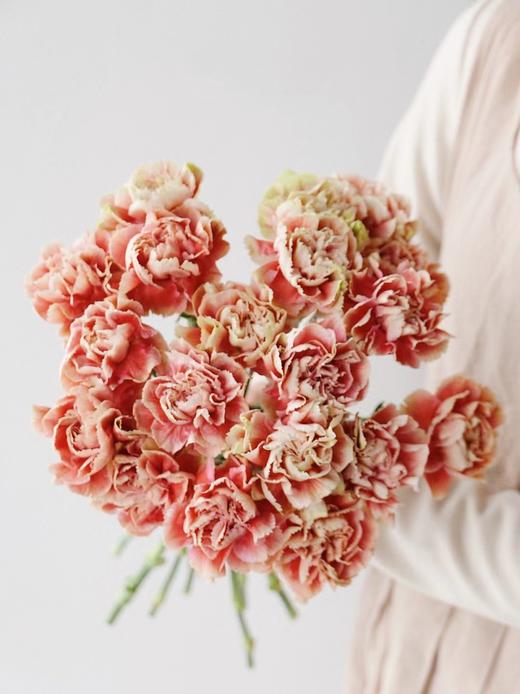 【周四秒杀】变色龙复古康15支49.8元 商品图0