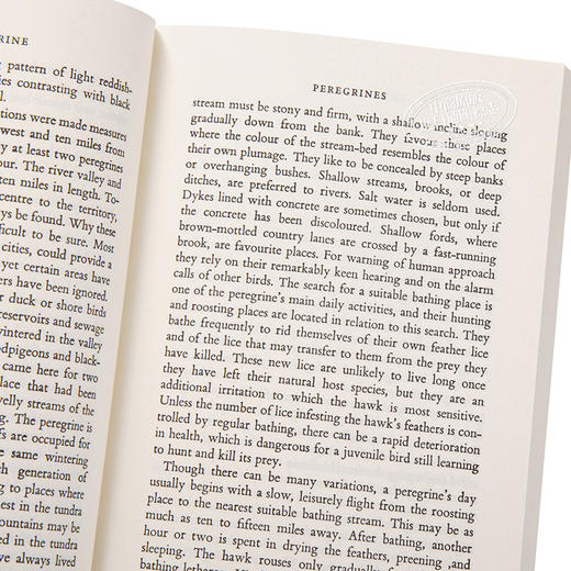 【中商原版】游隼 豆瓣阅读 英文原版 The Peregrine J. A. Baker 商品图3