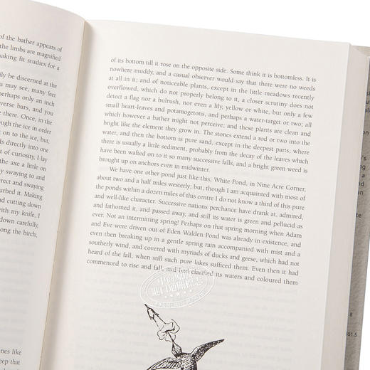 【中商原版】Walden 瓦尔登湖 精装 港台原版 亨利大卫梭罗 香港商务印书馆 商品图3