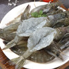 新鲜海捕大虾，液氮速冻保鲜，肉质紧实劲道，味鲜而不腻 商品缩略图1