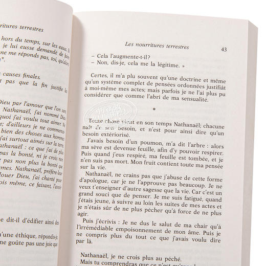 【中商原版】【法国法文版】安德烈·纪德：人间食粮 法文原版 Les nourritures terrestres 法文文学 商品图3