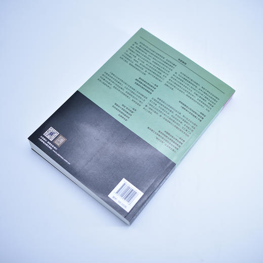 国有企业经济责任审计实务指南 商品图2