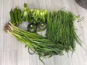 蔬菜（丝瓜、芸豆、韭菜、青菜、西葫芦、青蒜苗，其中丝瓜&芸豆2选1，其他随机，共计5个品种）5kg/份