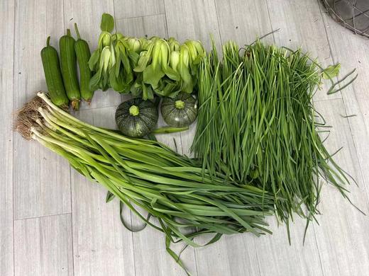 蔬菜（丝瓜、芸豆、韭菜、青菜、西葫芦、青蒜苗，其中丝瓜&芸豆2选1，其他随机，共计5个品种）5kg/份 商品图0