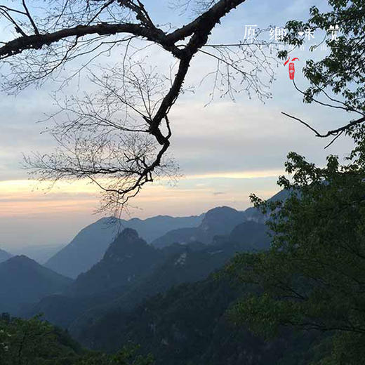 秦岭本草花蜜|巢蜜|蜂蜜（基地直发-韵达包邮）| 多种规格，来自陕西汉中，生产者：刘建华【合作生产，公平贸易】 商品图6