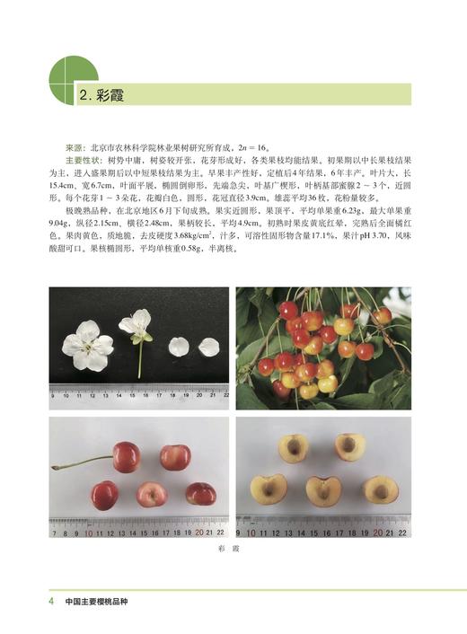 中国樱桃主要品种【中国农业出版社官方正版，可开发票，下单时留开票信息和电子邮箱】 商品图2
