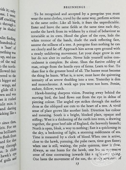 【中商原版】游隼 豆瓣阅读 英文原版 The Peregrine J. A. Baker 商品图6