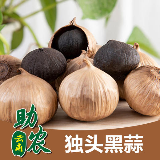 云南“蒜动力”黑蒜500g/600g 商品图0