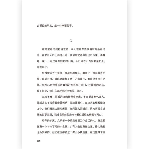 后浪正版 假如我们注定是普通人 在似是而非的今天努力成为一个普通人 十二个故事十二种可能 无关躺平是依旧热爱是另一种勇敢与清醒 商品图4