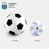 阿根廷国家队官方商品丨迷你小足球2号球收藏款儿童足球梅西 商品缩略图4