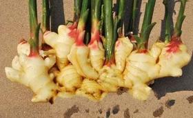 合伙人怎样找到下单记录