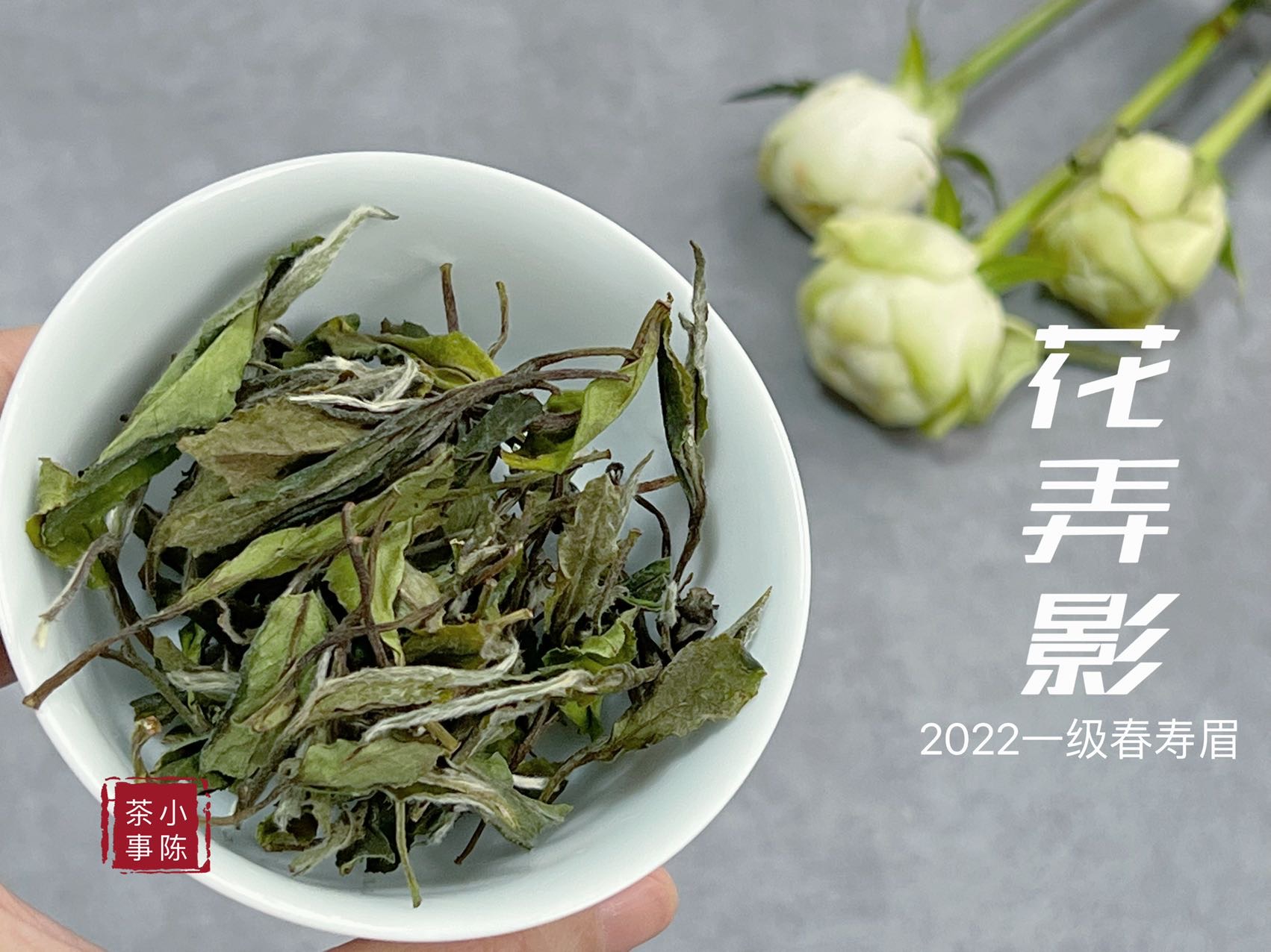 2022一级春寿眉《花弄影》，既有牡丹王的稠，又有白牡丹的高雅花香（1斤收藏装）