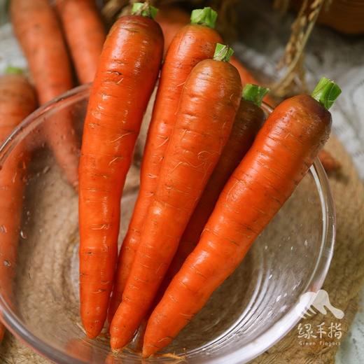生态河南胡萝卜 | 合作生产*Eco-carrot | Coproduction 商品图4