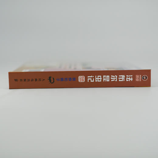 STEAM探索 法布尔昆虫记互动立体书 蜘蛛和蝎子 3-6岁儿童科普启蒙书 3D探索纸上昆虫博物课 *家动物博物馆审定 商品图3