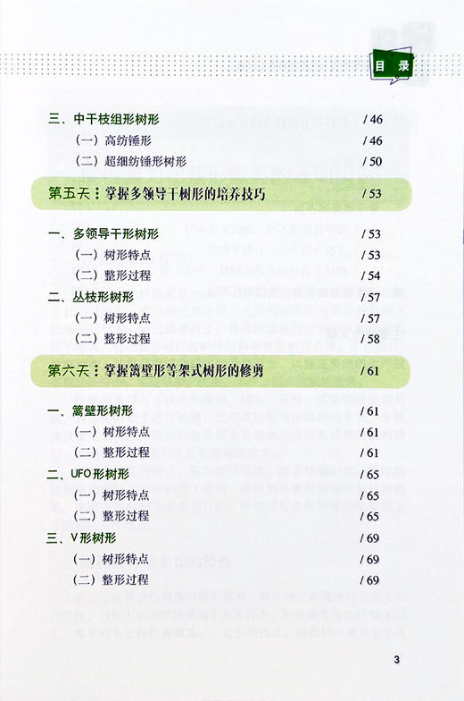 彩图版樱桃省力化整形修剪七日通【中国农业出版社】 商品图3